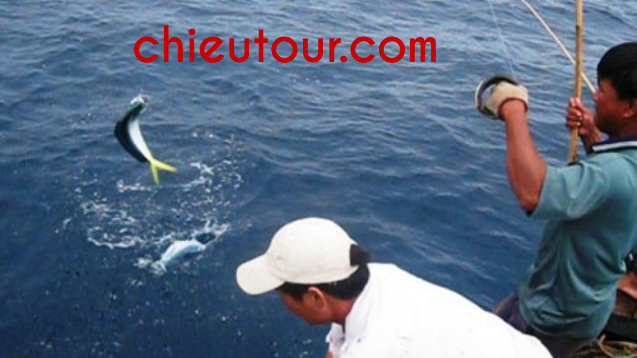 Cho thuê tàu câu cá – câu mực tại Mũi Né – Phan Thiết