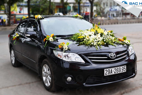 CHO THUÊ XE HOA GÍ RẺ TẠI GÒ VẤP