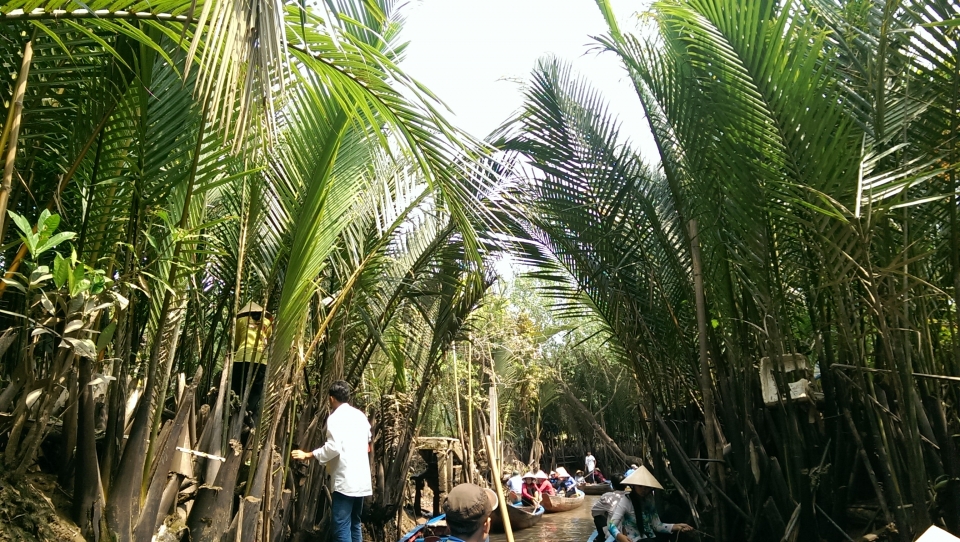 dừa nước miền tây