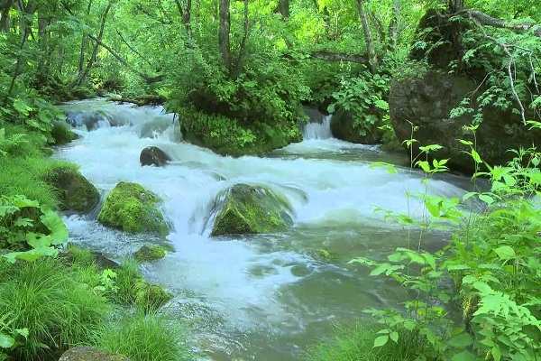 NHỮNG CON SUỐI ĐẸP NHẤT Ở VIỆT NAM