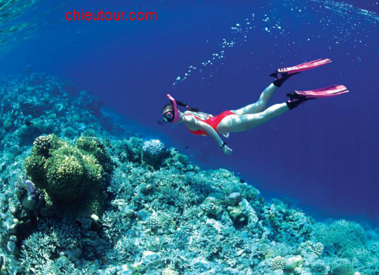 Tại sao gọi là Hòn Tằm ?