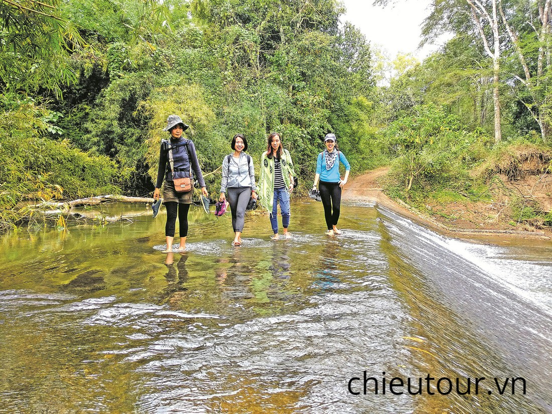 Tìm hiểu rừng khọp Yok Don