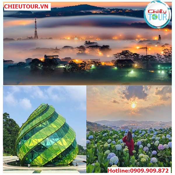 Tour Đà Lạt 3N3Đ Tết Tây