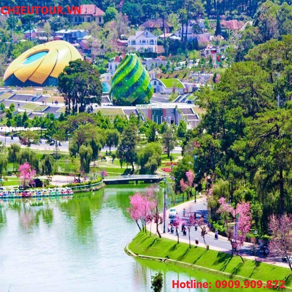 Tour Đà Lạt Tết Tây