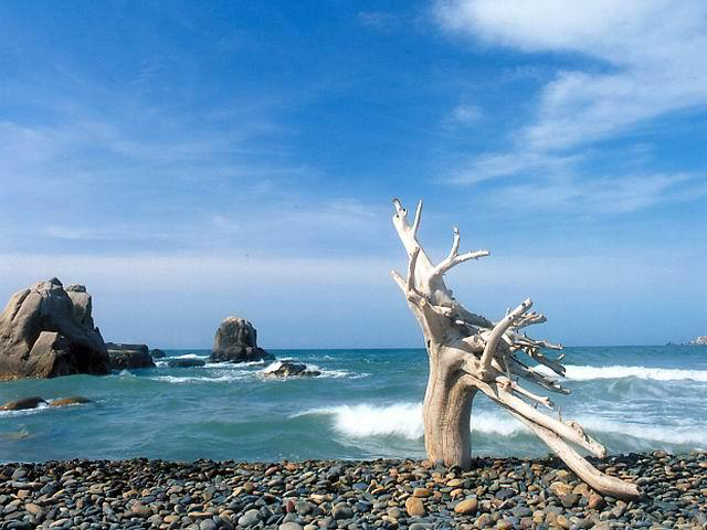 TOUR DU LỊCH BÌNH DƯƠNG - NHA TRANG - ĐÀ LẠT GIÁ CHỈ 2,195,000 VNĐ/KHÁCH