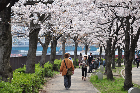 tour Nha Ban giá cực sốc chỉ 22,900,000 vnđ/k