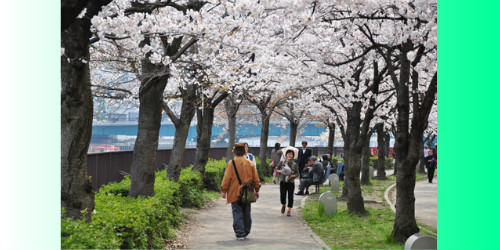 TOUR NHẬT BẢN 05 NGÀY 04 ĐÊM  GIÁ CHỈ 22,900 VND/K