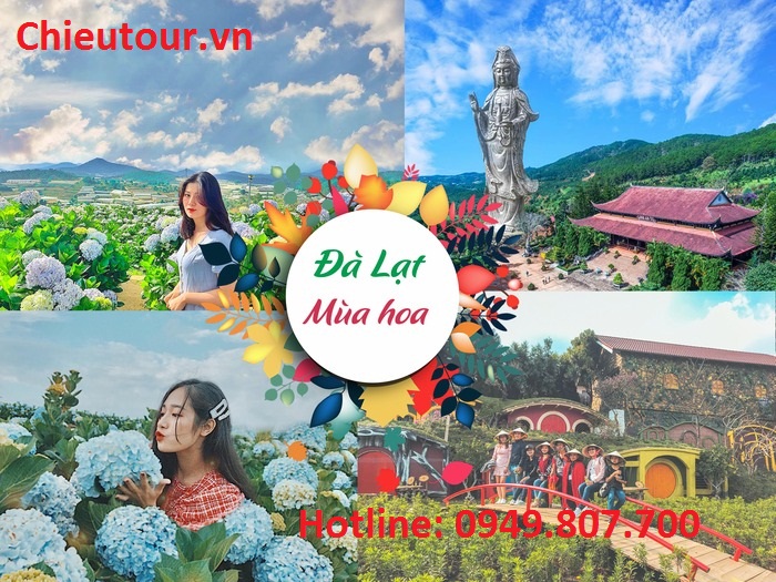 Tour Sóc Trăng Đi Đà Lạt