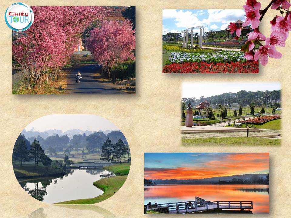 TOUR DA LAT GIA CHI 895,000 VND/K